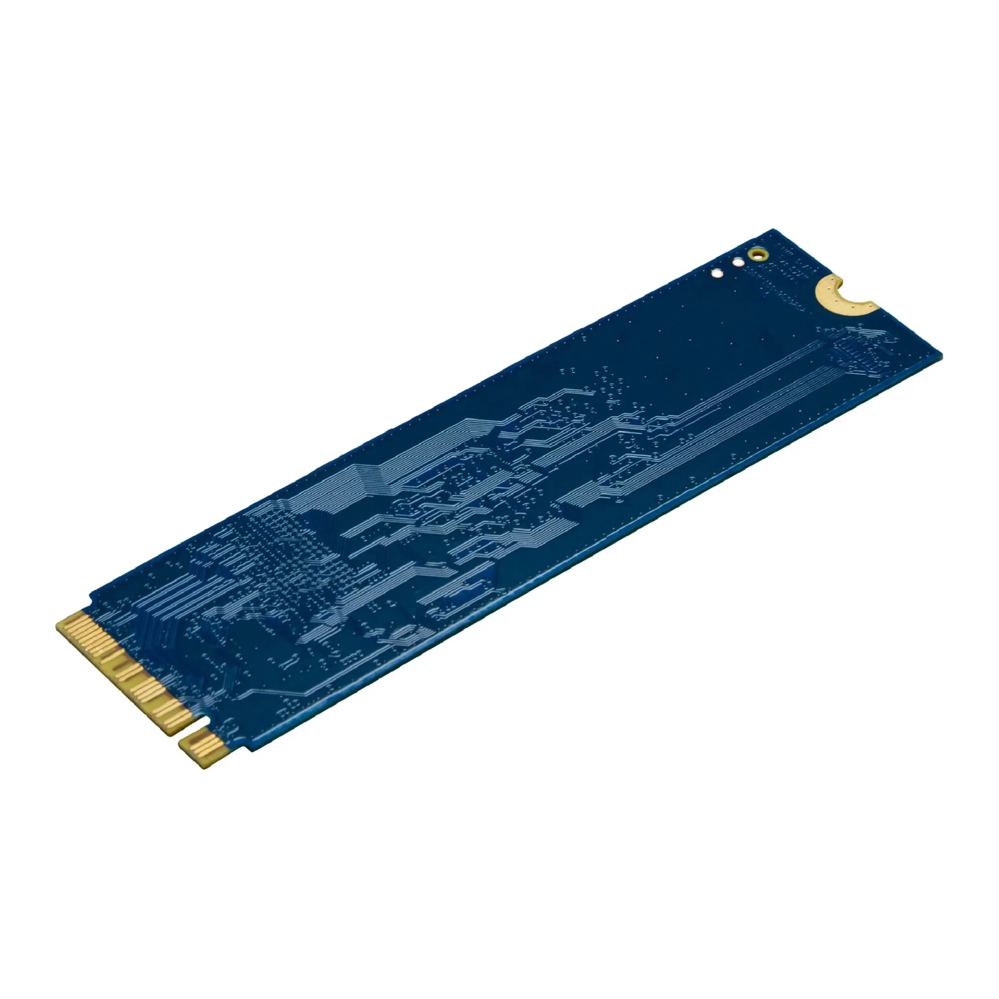 Dysk SSD Kingston NV3 500GB M.2 PCIe Gen 4x4 NVMe (SNV3S/500G) cena - zdjęcie 3